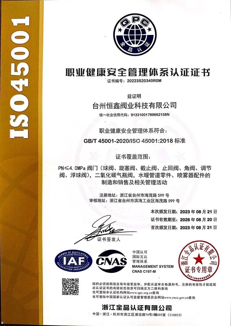 ISO 45001 CN